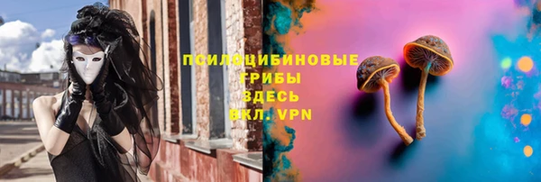 стафф Абаза