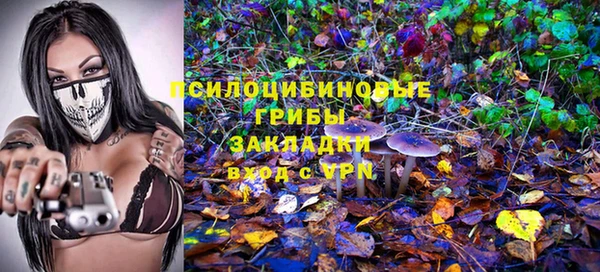 стафф Абаза